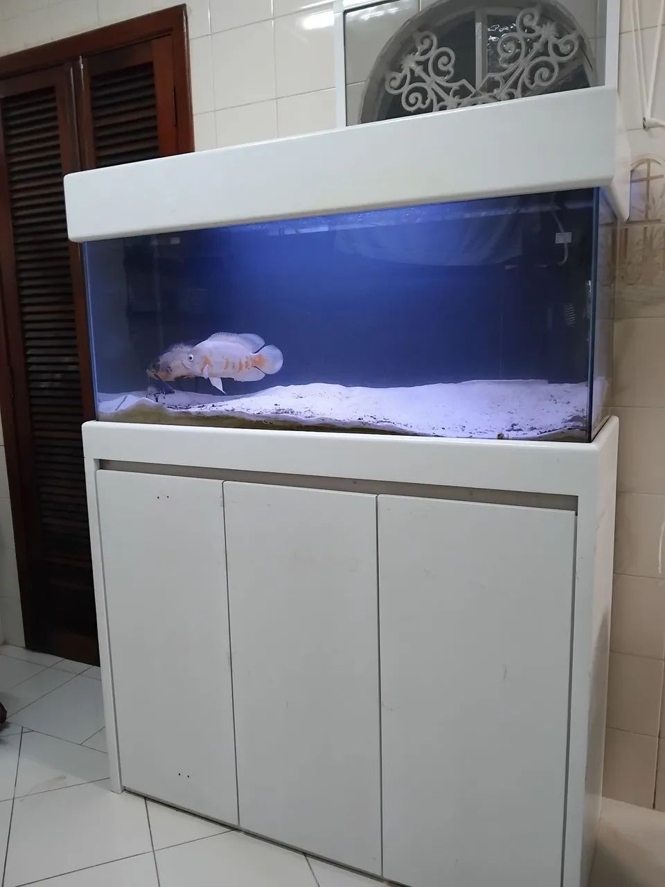 Aquário  200 litros
