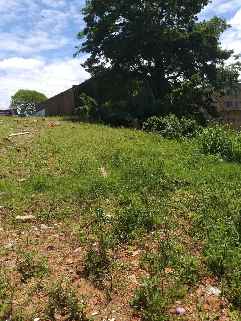 Terreno com área total de 3.192m² - Estreito no Continente em Florianópolis/Sc - Foto 2
