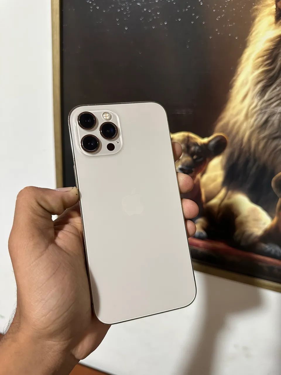 IPhone 12 Pro Max  - Foto 2