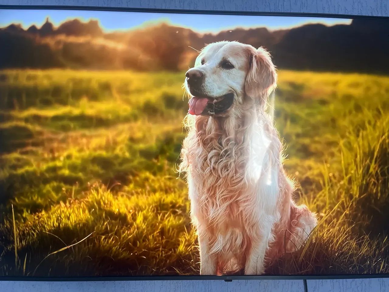 TV smart LG 65 polegadas com IA  - Foto 2
