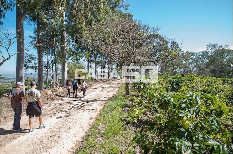 fazenda - Centro - Itapira - Foto 5