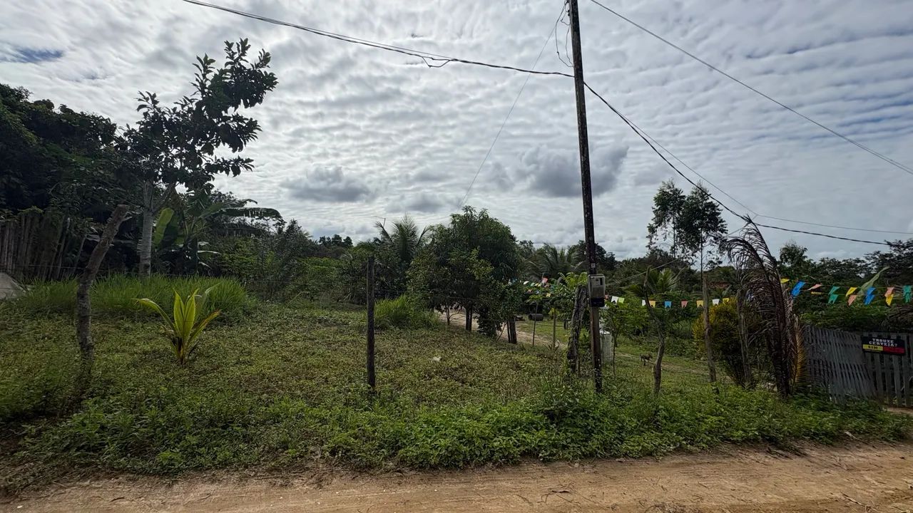 Sítio - Alagoinhas  - Foto 5