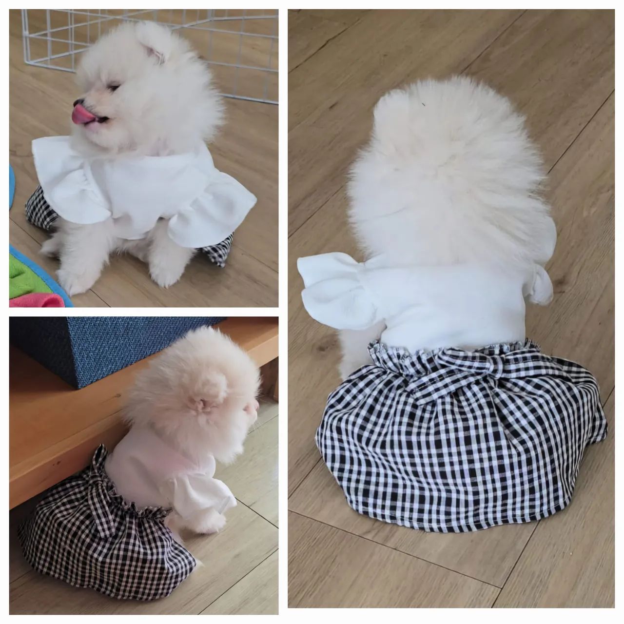 VESTIDO para PET - Foto 3