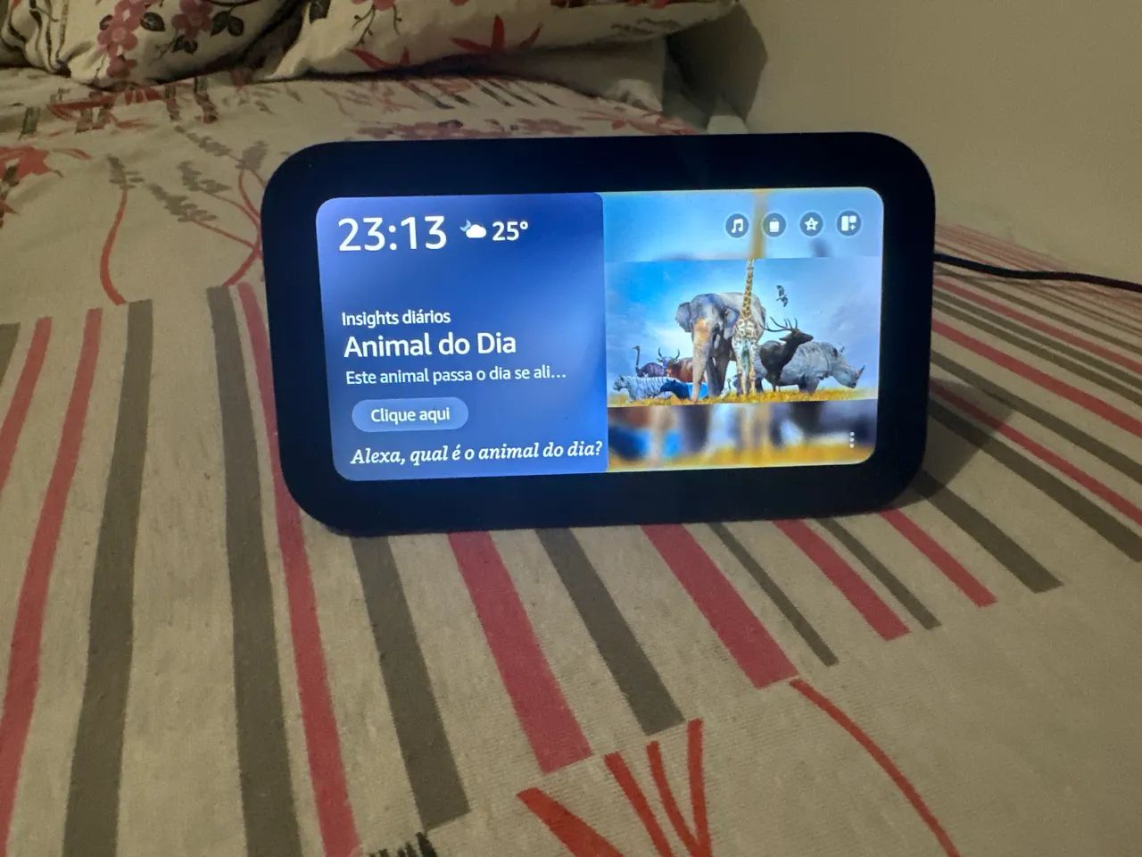 ECHO SHOW 5429413992645283840