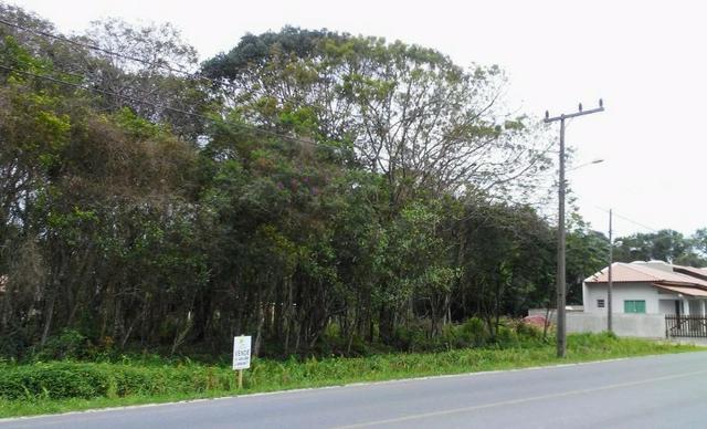 Terreno em Itapoá - Foto 4