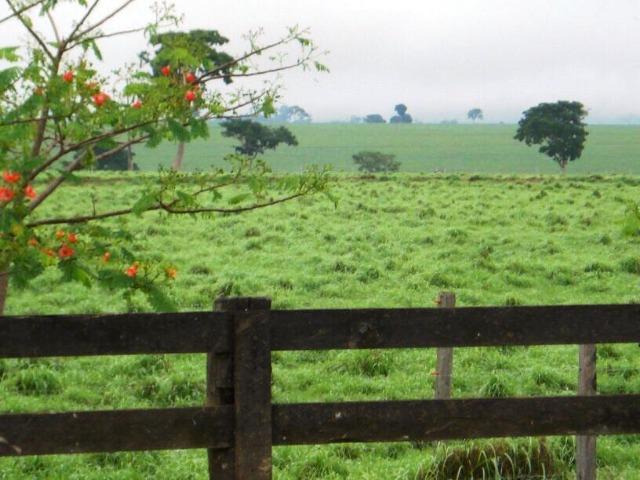 Fazenda de 34385 hectares em MT - Foto 2