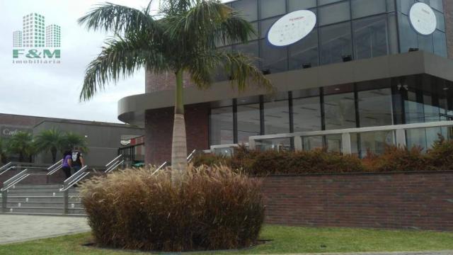 Terreno para alugar, 600 m² por R$ 2.500,00/mês - Capão Raso - Curitiba/PR - Foto 2