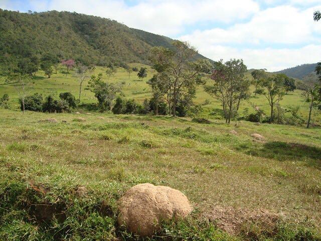 50 Alq. Beira Rio | 120 km Goiânia. (leia o anuncio) - Foto 12