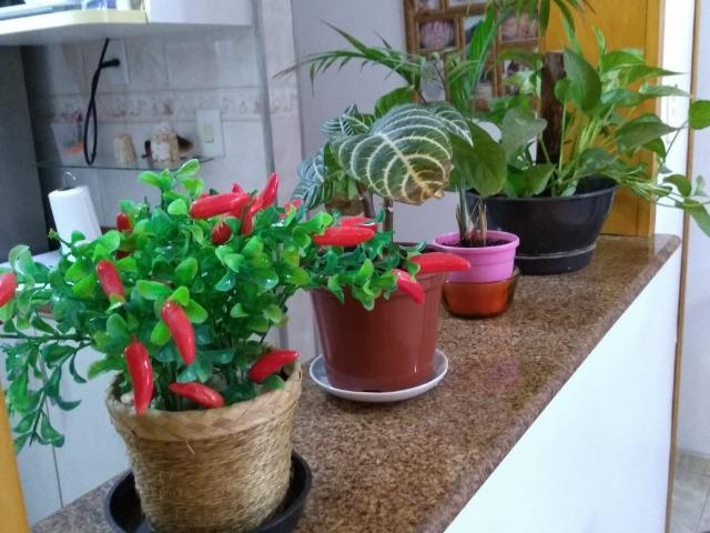 Apartamento 3 qtos, reformado, 60 m2 Portuguesa, Imperdível! - Foto 9