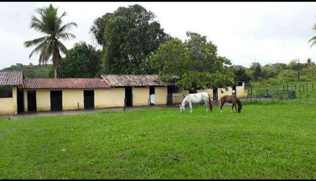 Fazenda em Mata de São João. BA - Foto 3
