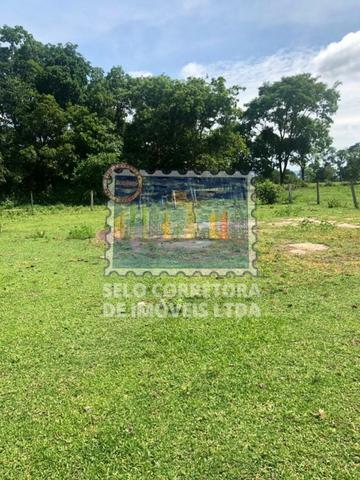 Exelente Fazenda no Municipio De Cuiabá - Foto 15