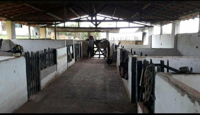 Fazenda em Mata de São João. BA - Foto 4