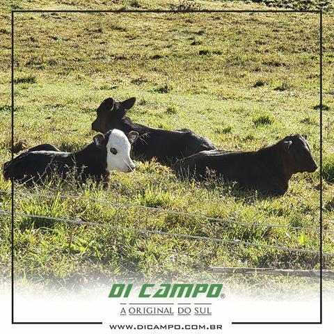 Máquina Compactadora Ensacadora de Silagem Di Campo - Foto 2