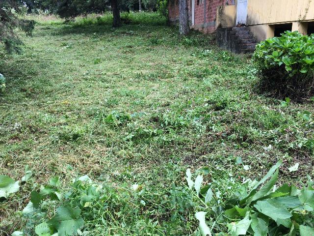 Terreno ZR2 rua prosdocimo lago - Foto 4