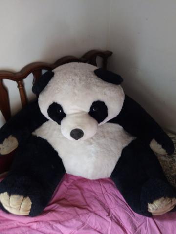 Vendo urso