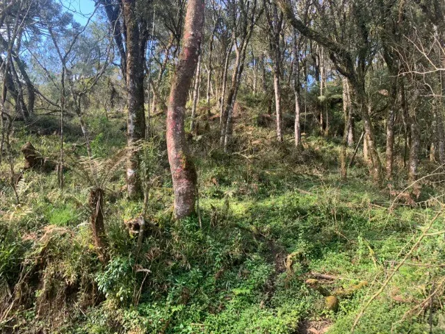 Urubici, chácara de 2 hectares a venda em São José