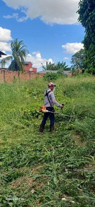 Jardinagem em geral  - Foto 6