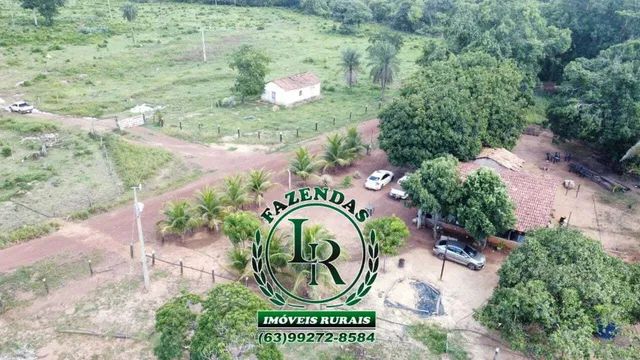 Fazenda 29 Alqueires Região Aparecida Rio Negro - Foto 3