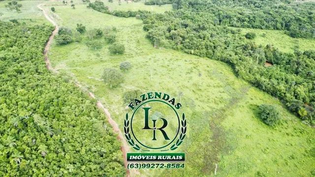 Fazenda 29 Alqueires Região Aparecida Rio Negro - Foto 4