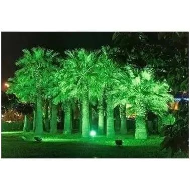 Refletor Verde para Jardim 50W, IP66 - Foto 3