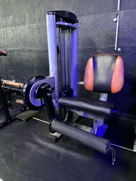 Cadeira Extensora Profissional - Foto 2