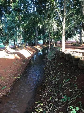 VENDO CHÁCARA EM ABADIANIA COM RIBEIRÃO  - Foto 12