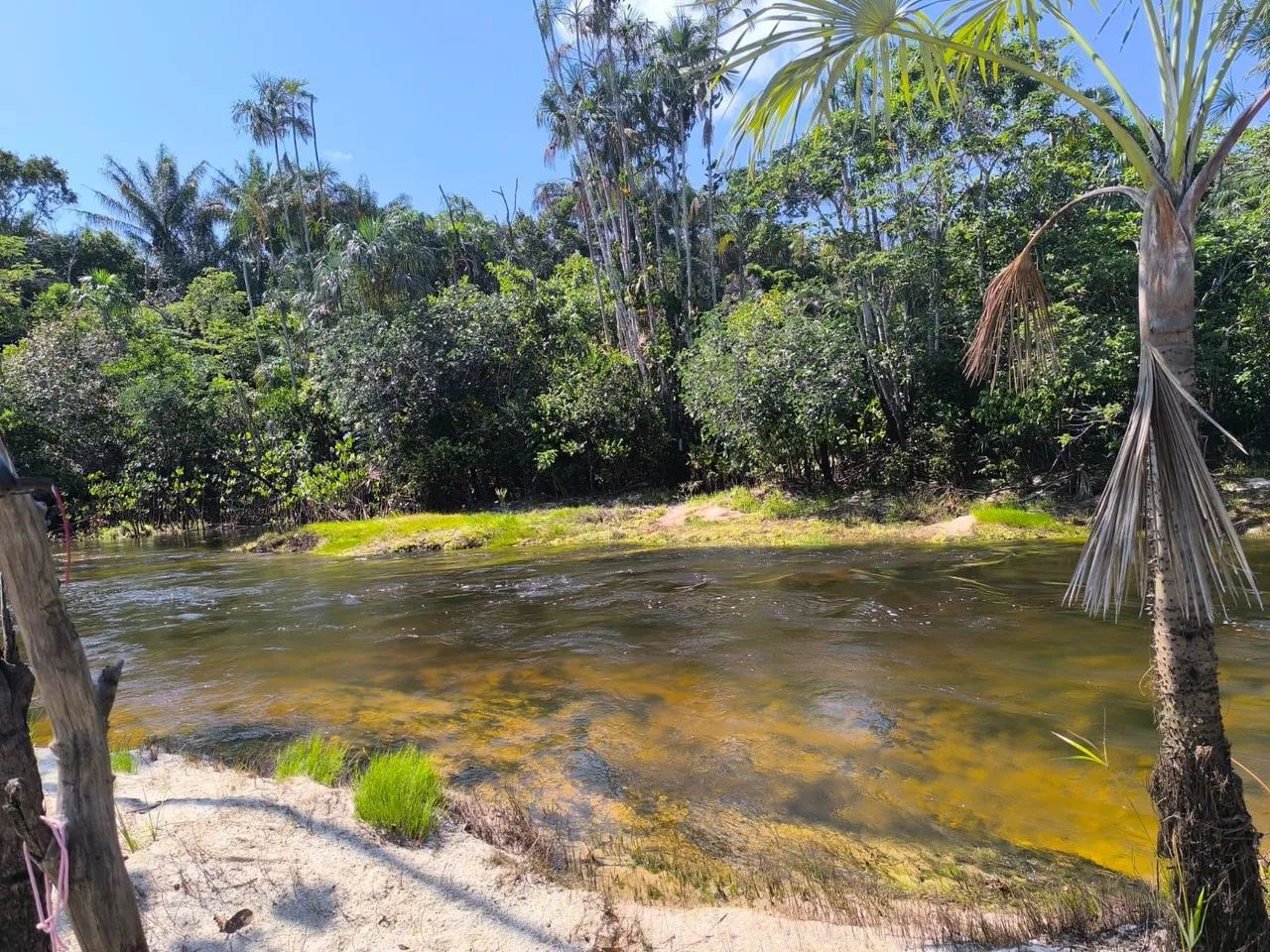 foto - Boa Vista - Caranã