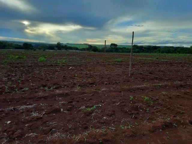 Foto - Brasília - Guará I