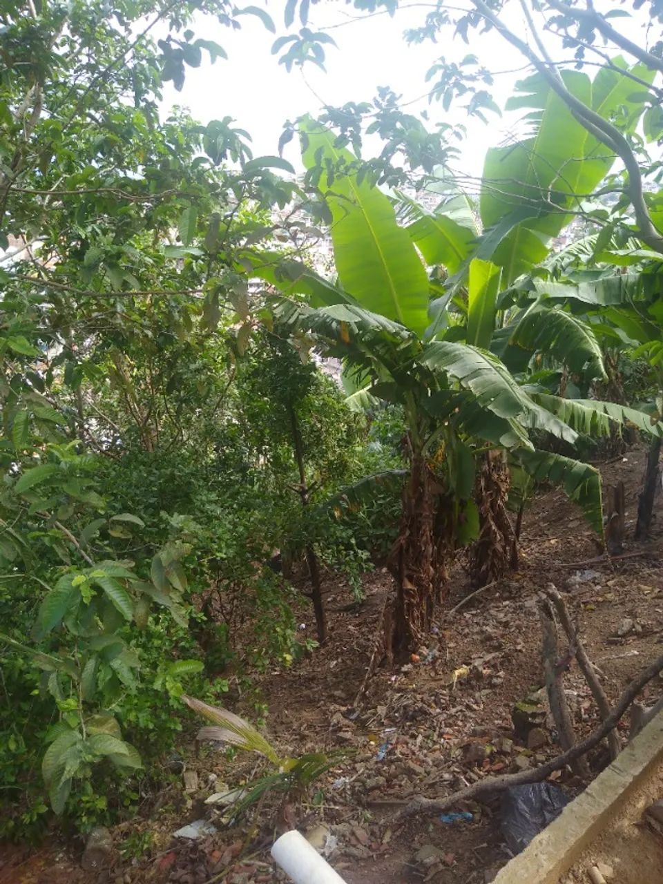 Casa vanda - Foto 5