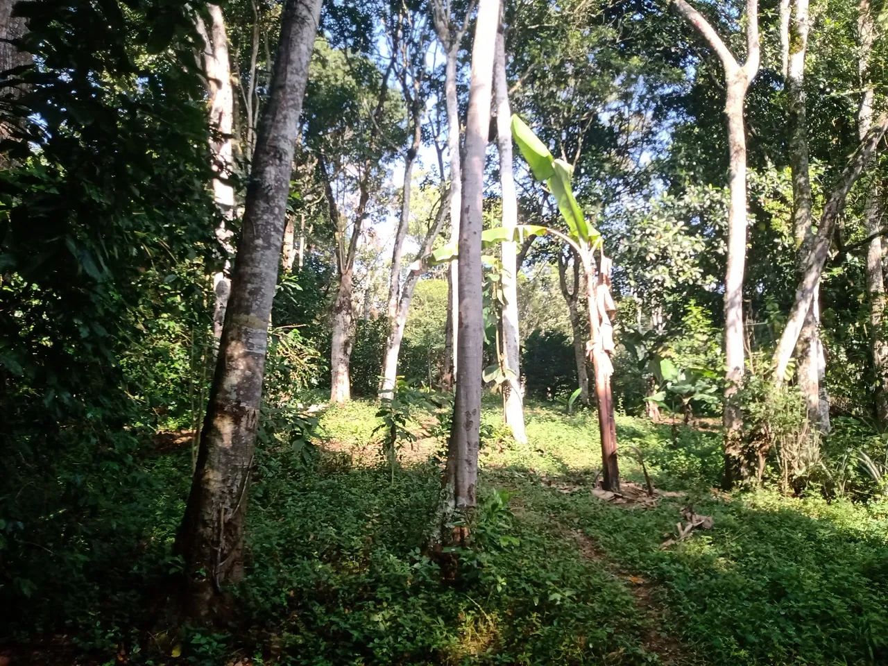 Vendo outro troco por casa - Foto 11