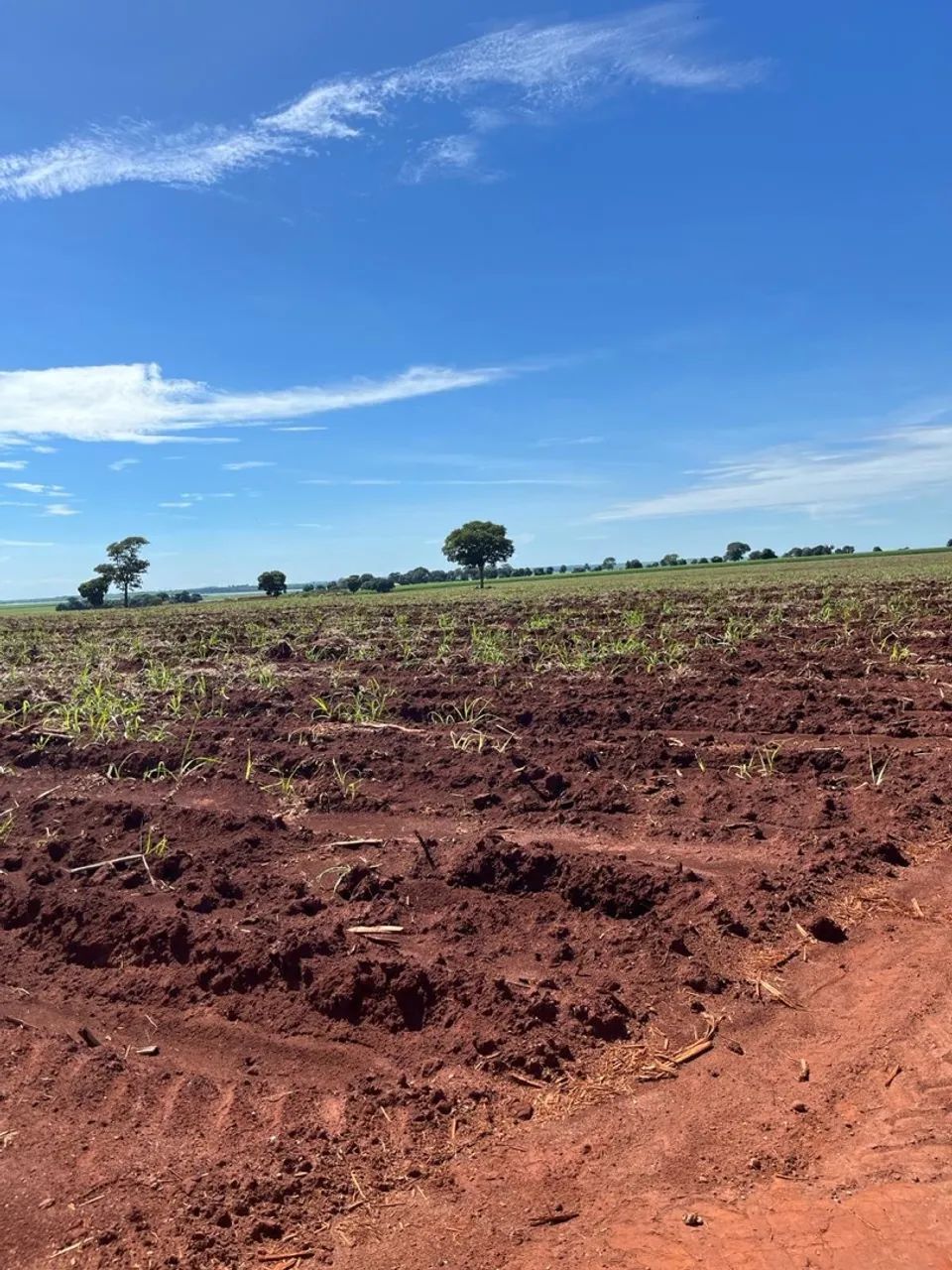Excelente fazenda no Goiás  - Foto 4