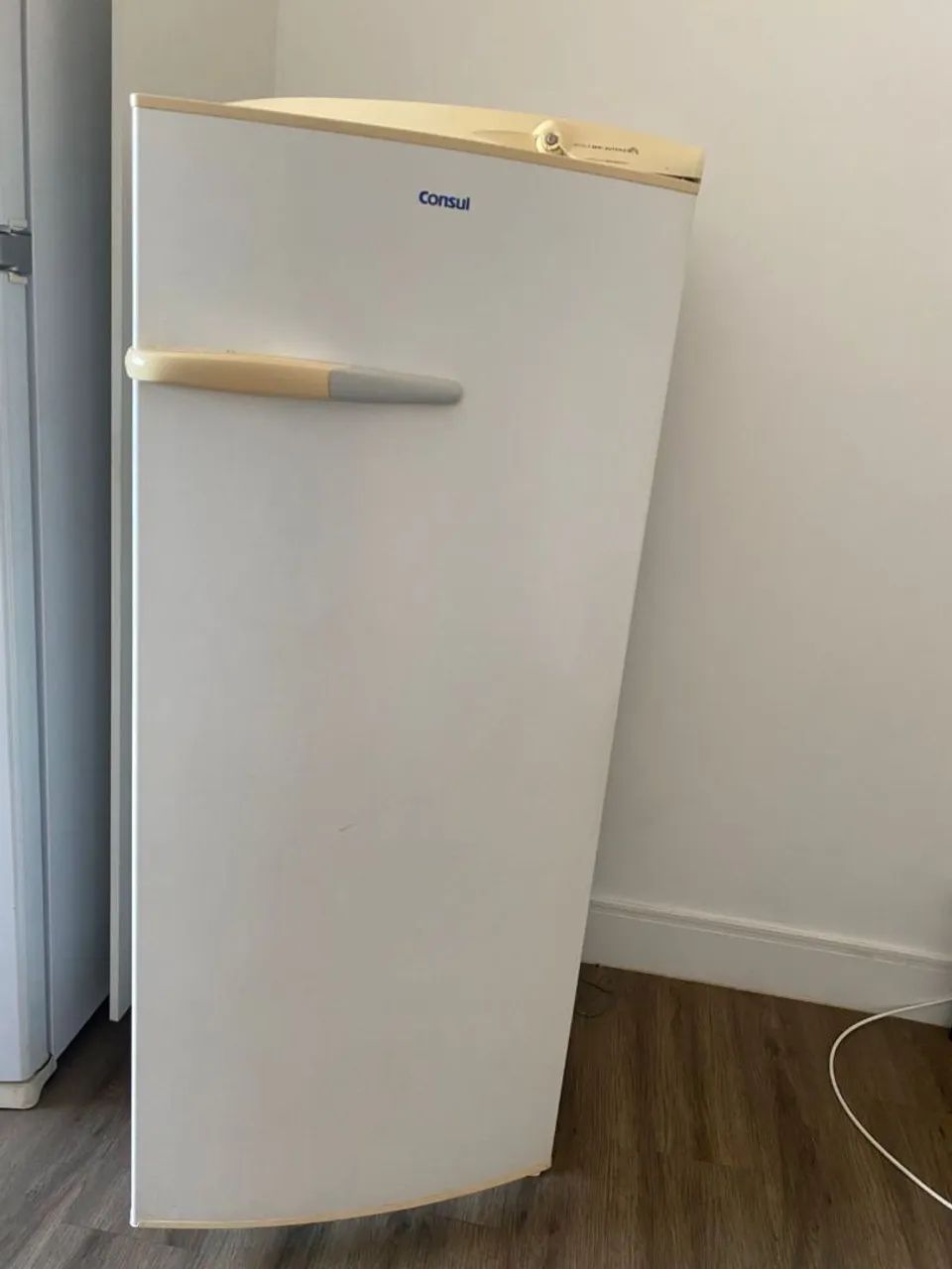 Geladeira Consul 110vt