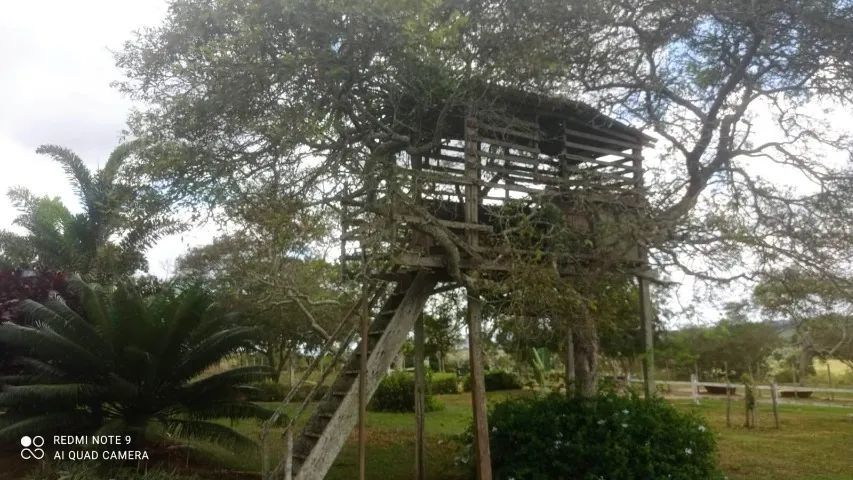 FAZENDA EM SÃO GONÇALO - 50 TAREFAS - Foto 11