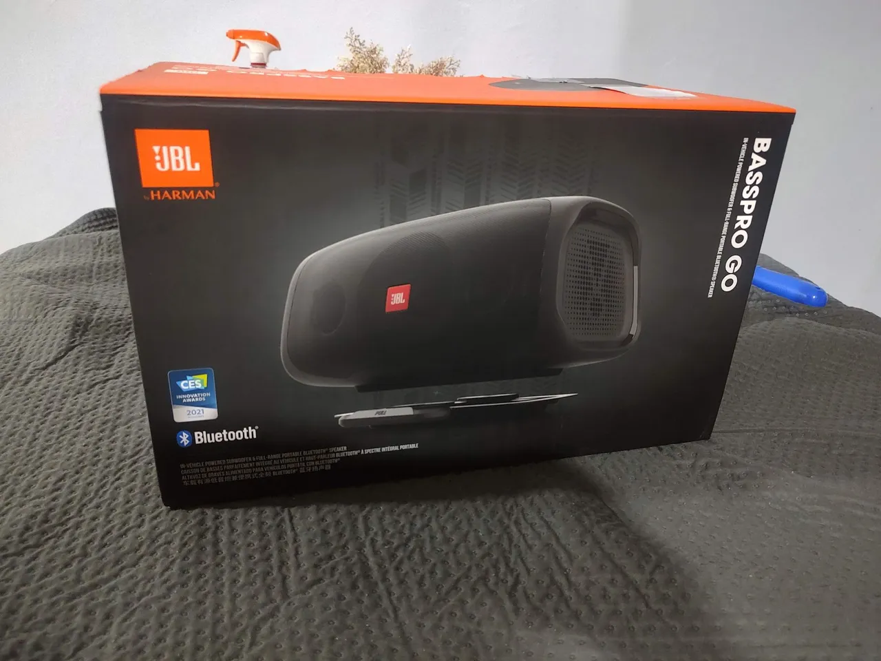 JBL BassPro Go