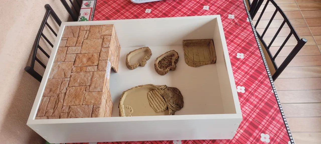 Terrário para Tartarugas - Foto 3