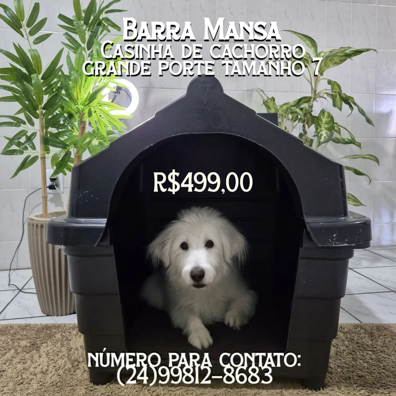Casa Casinha Tamanho 7 Para Cachorros Cor Preta