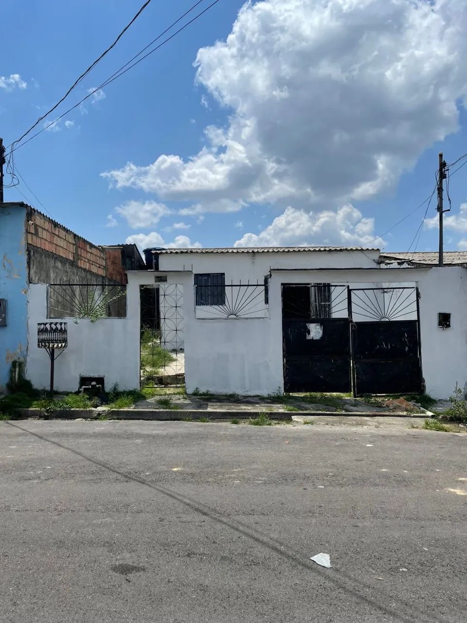 Foto - Manaus - Coroado