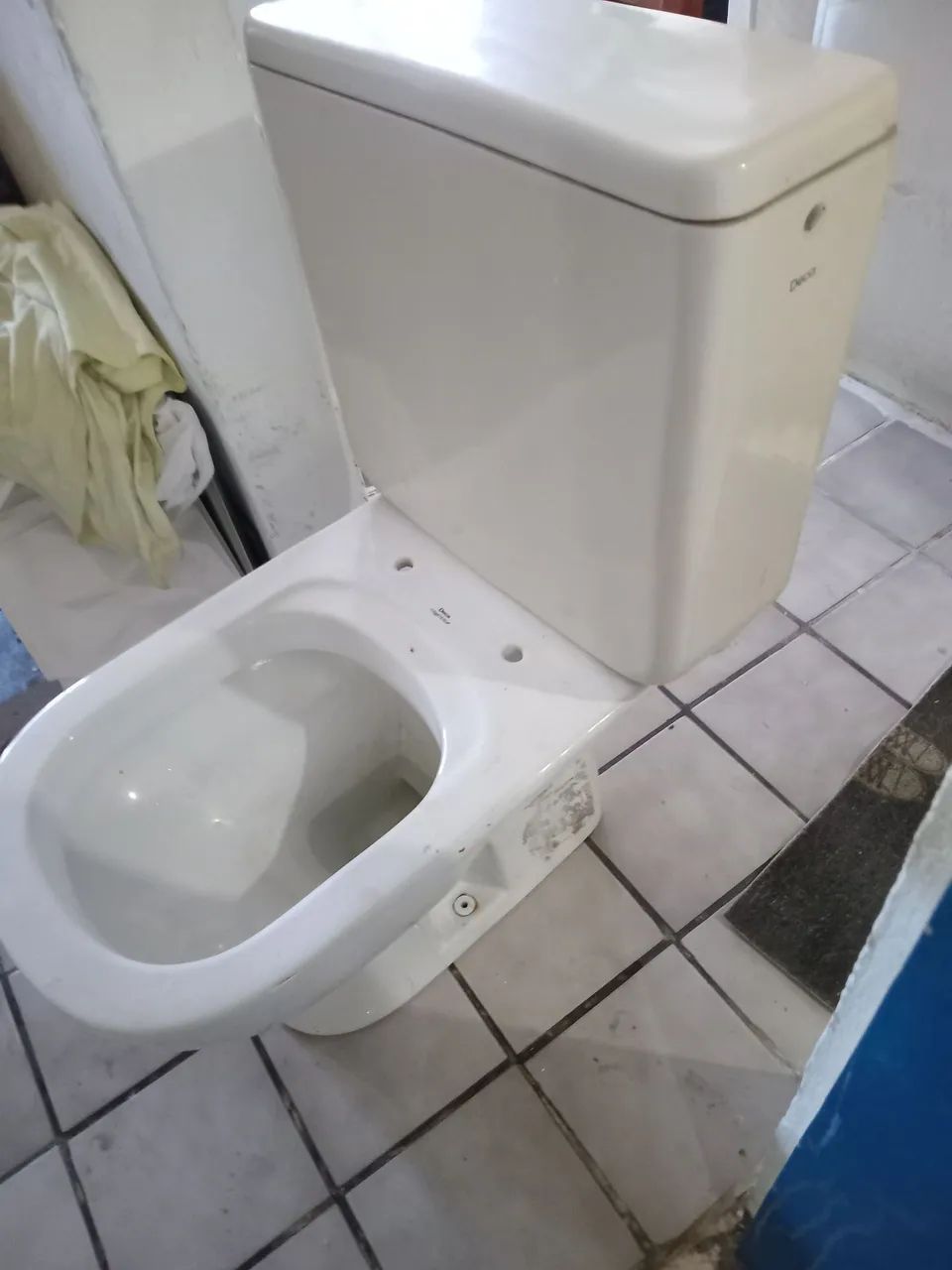 Working hydroponic vase64220047149187123