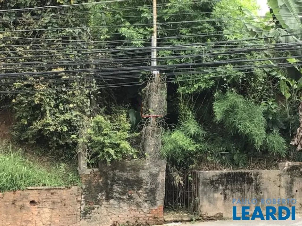 AREA - BUTANTÃ - SP - Foto 2