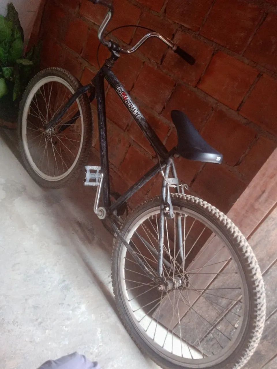 Bicicleta boa