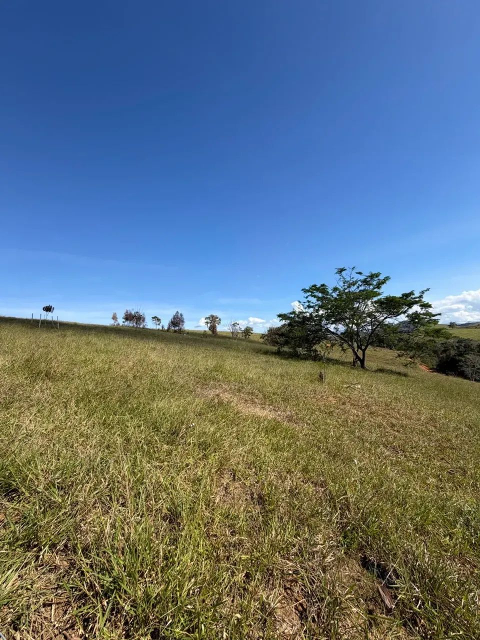 fazendinha em Timbui - Foto 3