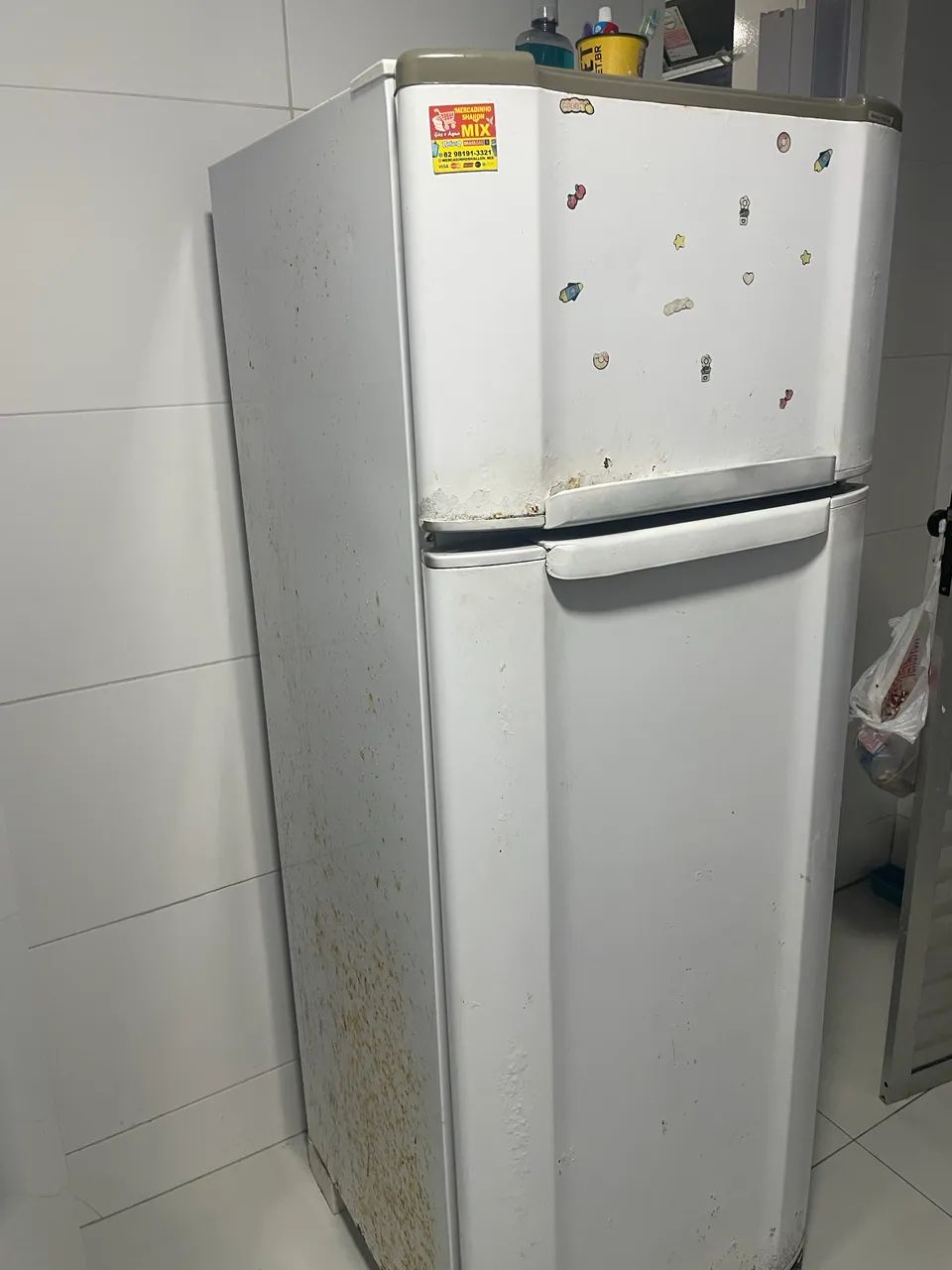 Geladeira pega tudo, funcionando bem 