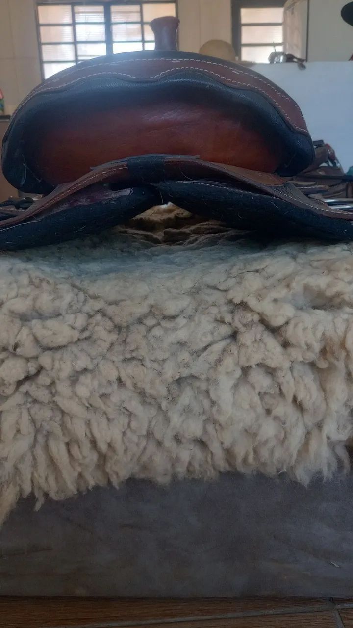 Sela americana (cavalos) - Foto 4