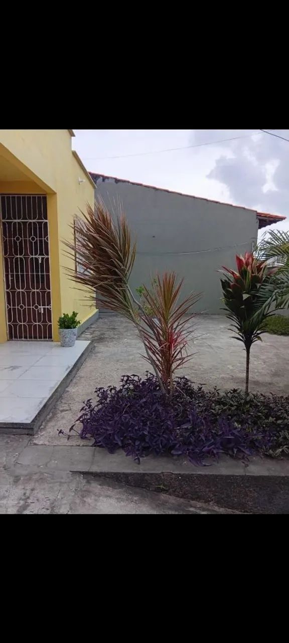 Locação Cohama - Foto 2