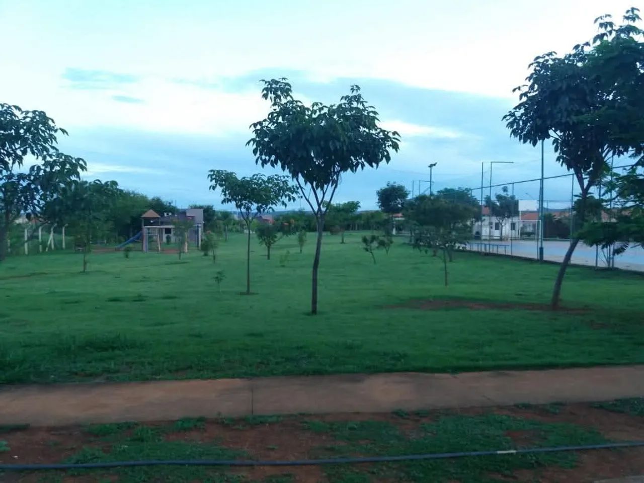 Foto - Montes Claros - Acácias