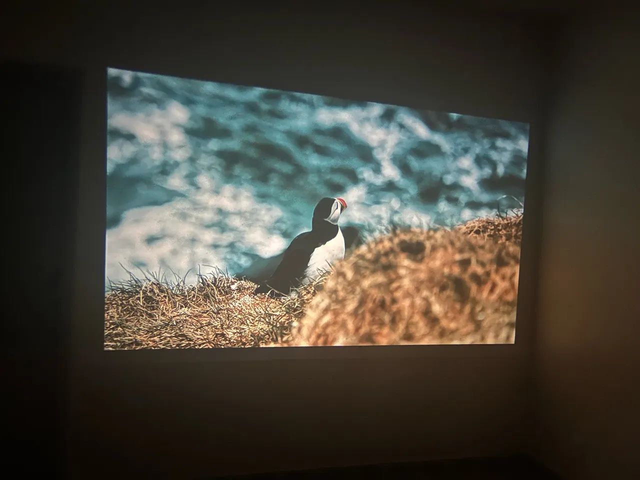 Projetor 4K - Foto 2