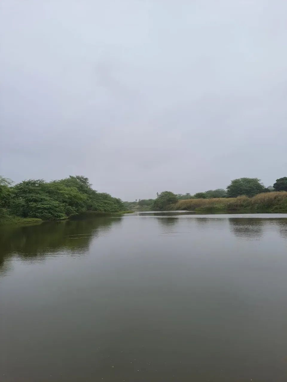 Fazenda com 550 hectares em Ielmo Marinho - Foto 5