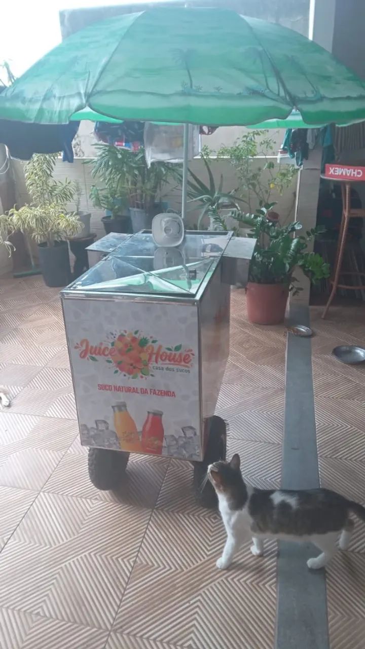 Carrinho de Açaí, Picolé, Sorvete e Bebidas - Com placas de Gelo - Foto 5