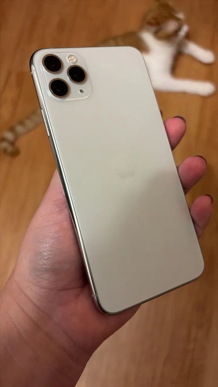 iPhone 11 Pro Max 256gb