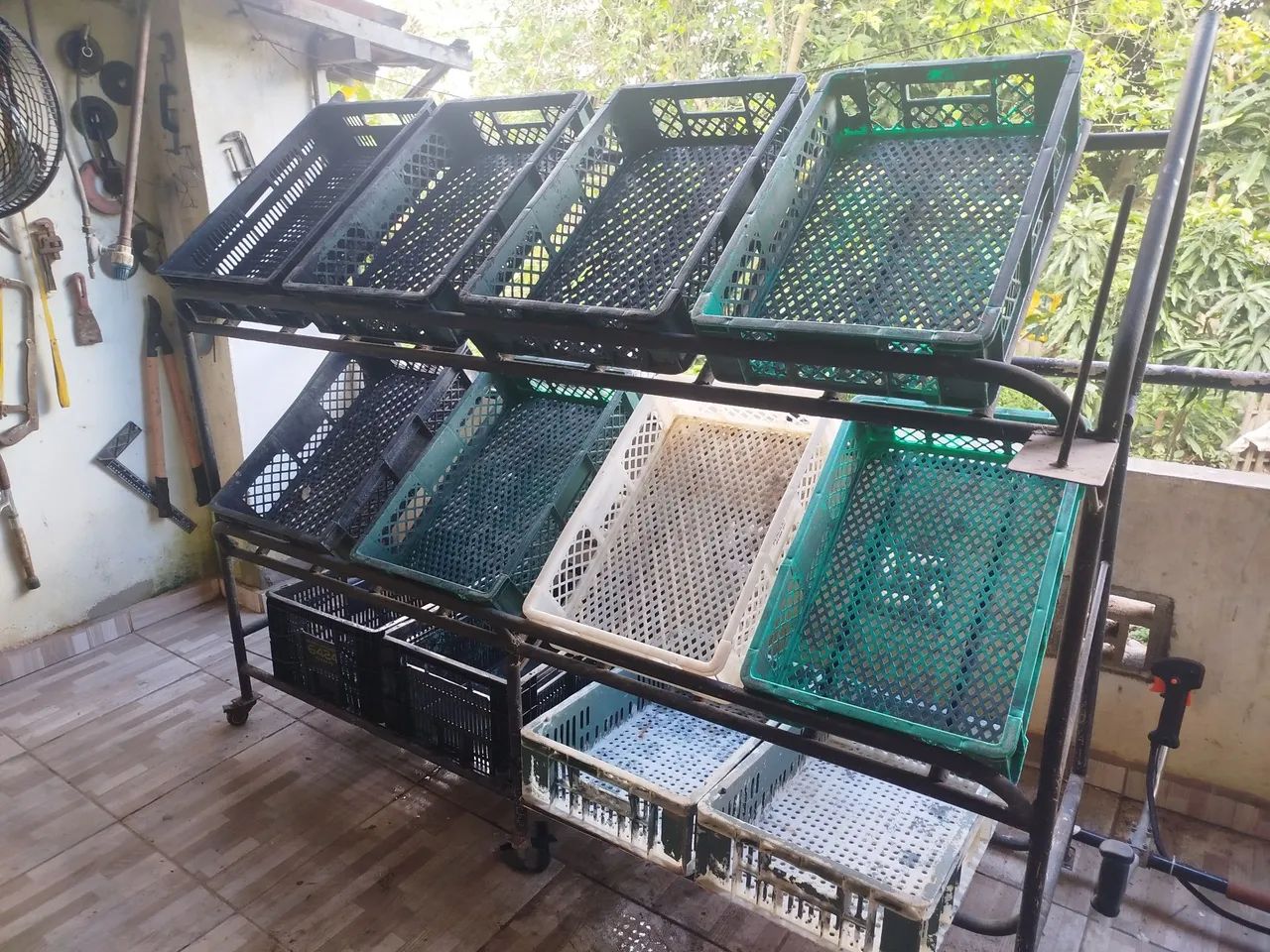 Expositor de verduras 